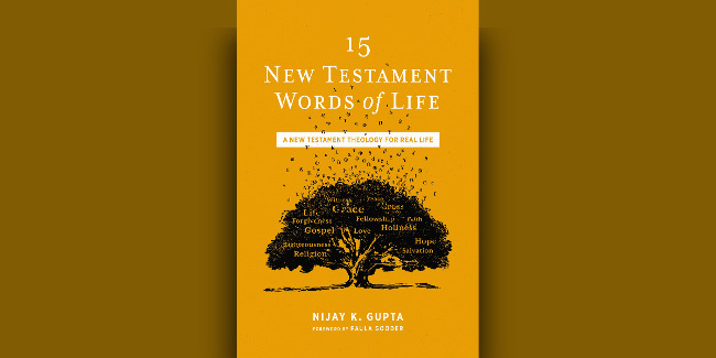 Nijay Gupta 15 New Testament Words Of Life Review 
