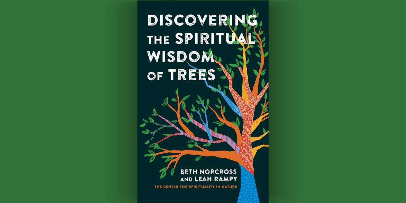 Non-Feature Review Post (15)