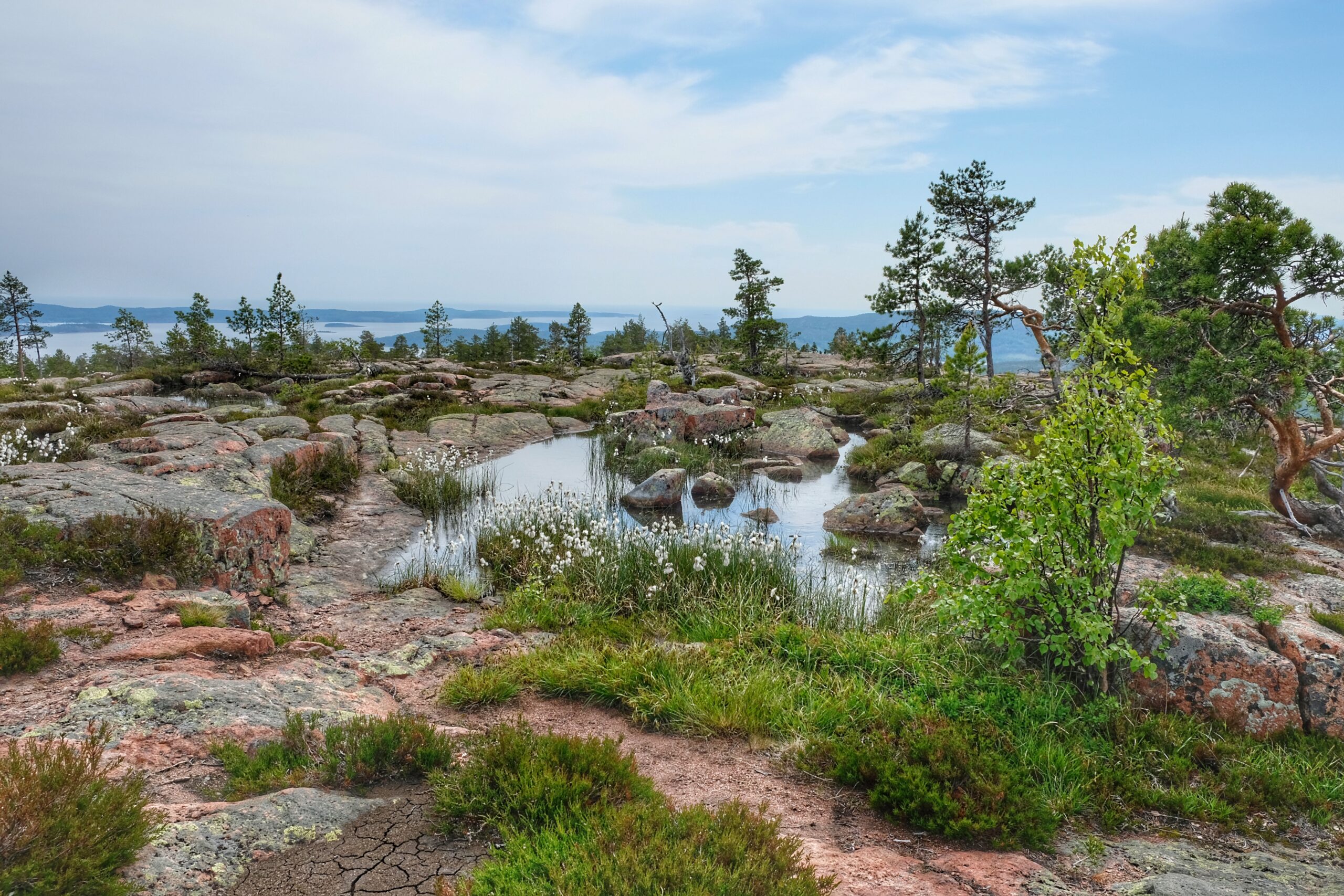 June Poems – Ten Favorite Poems For this Summer Month! DSCF1273