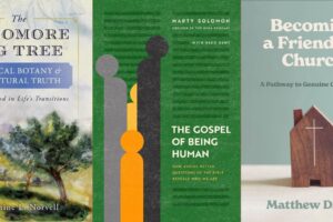 Three Book Covers:The Sycomore Fig Tree, The Gospel of Being Human, and Becoming a Friendlier Church