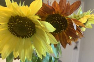 August Poems