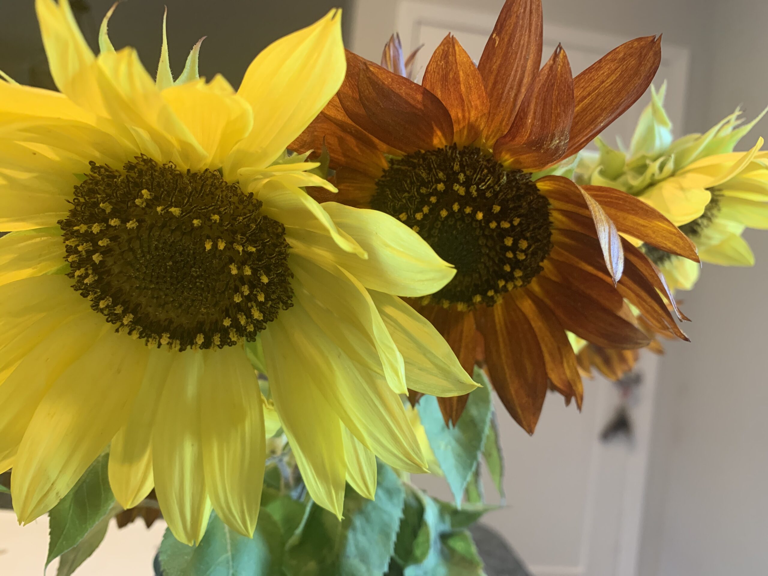 August Poems
