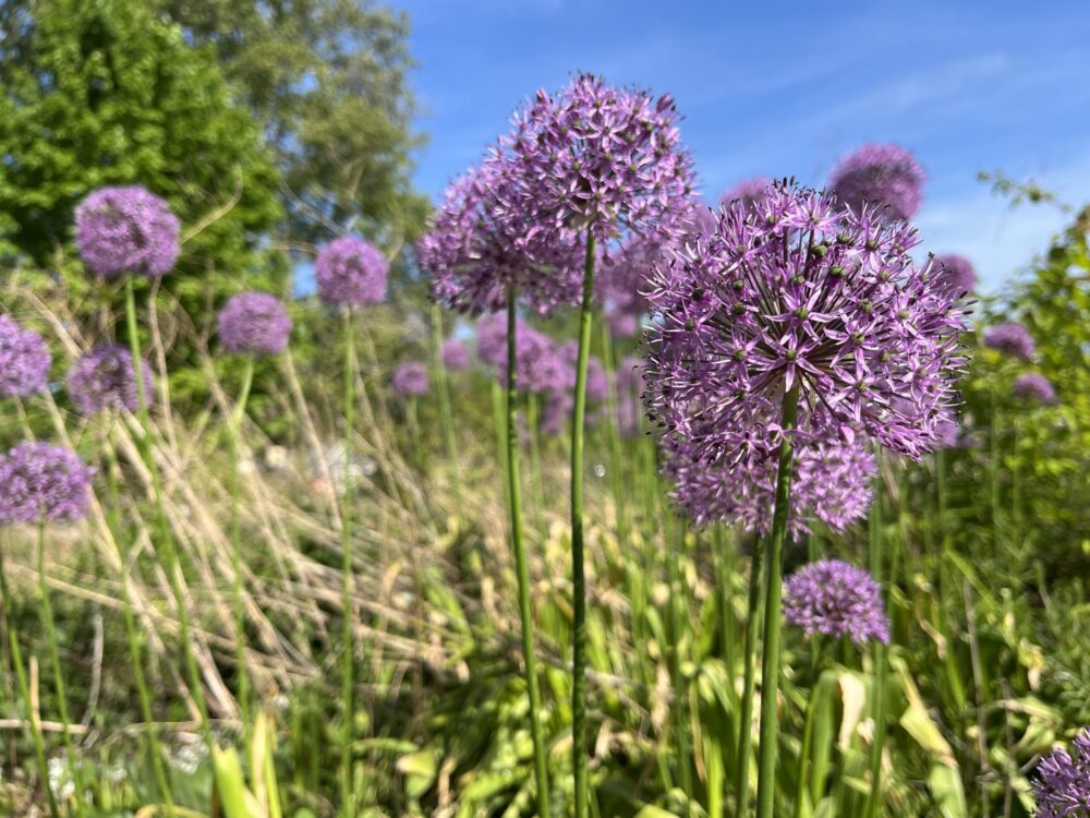 September Poems